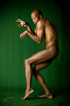 Predator Stock Photos