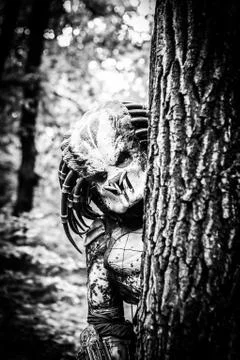 Predator Stock Photos