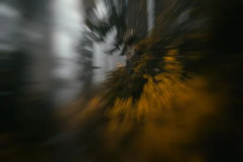 Predator Fotos de archivo