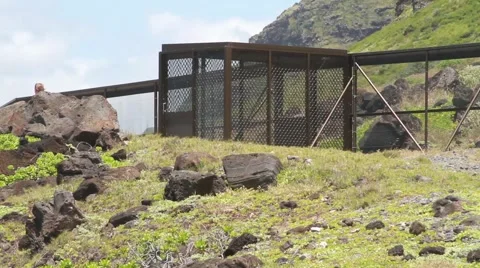 Predator proof fence in Kaena Point Stock-Footage 44962784