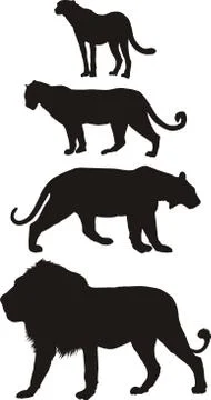 Predators, carnivorous big cats Stock Illustration