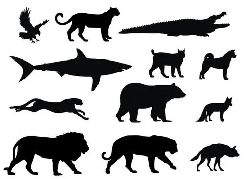 Predators Stock Illustration