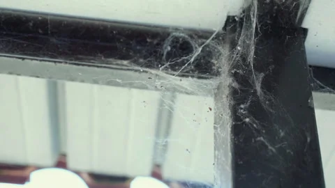 Predators trap at the angle of metal structure in abandoned dirty place Stock Footage 284358757