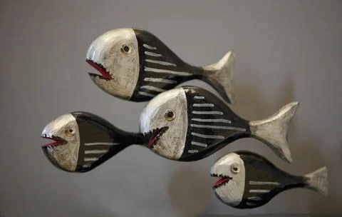 Predatory fish piranha Stock Photos