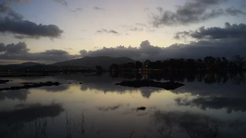 Predawn wetland landscape. Stock Footage 320240368