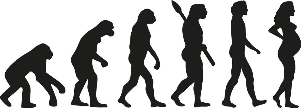 Pregnancy evolution Illustrazione stock