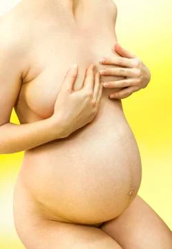 Pregnancy Stock Photos