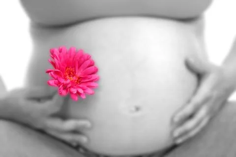 Pregnancy Stock Photos