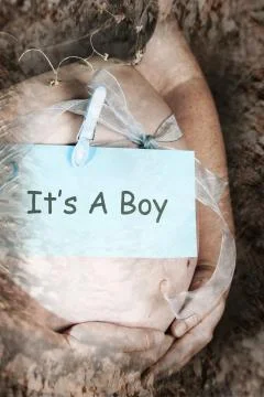 Pregnancy Stock Photos