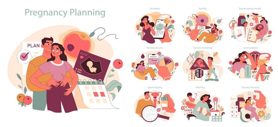 Pregnancy Planning set. Stock Illustration