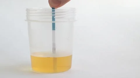 Pregnancy test in action. Two lines mean pregnant. Close up. 스톡 동영상 269142156