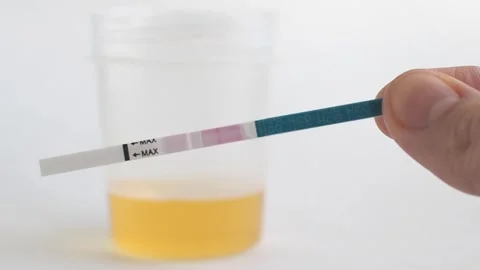 Pregnancy test in action. Two lines mean pregnant. Close up. Stock Footage 269142338