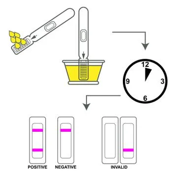 Pregnancy test instructions Stock Illustration