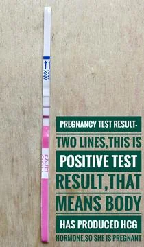 Pregnancy test kit result. Quick test strip to check patient is pregnant or not Foto stock