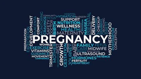 Pregnancy Word Cloud Design for Maternity Poster, Healthcare Education Prin.. Stock Illustration