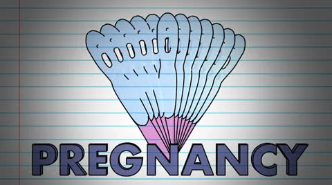 Pregnancystock Stock Footage 24618243