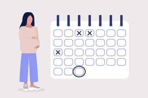 Pregnant calendar Stock Illustration