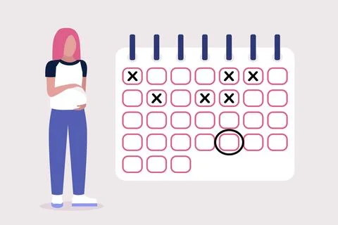 Pregnant calendar Stock Illustration