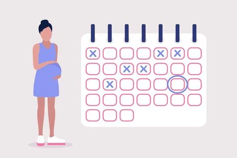 Pregnant calendar Stock Illustration