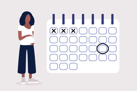 Pregnant calendar Stock Illustration