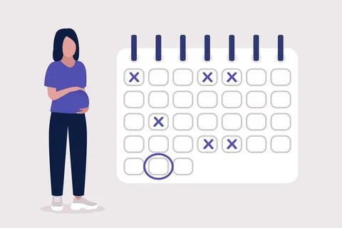 Pregnant calendar Stock Illustration