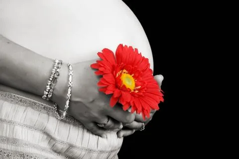 Pregnant Stock-Fotos