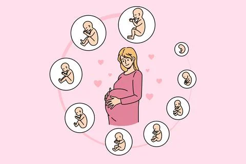 Pregnant woman with embryo development stages Stock Illustration