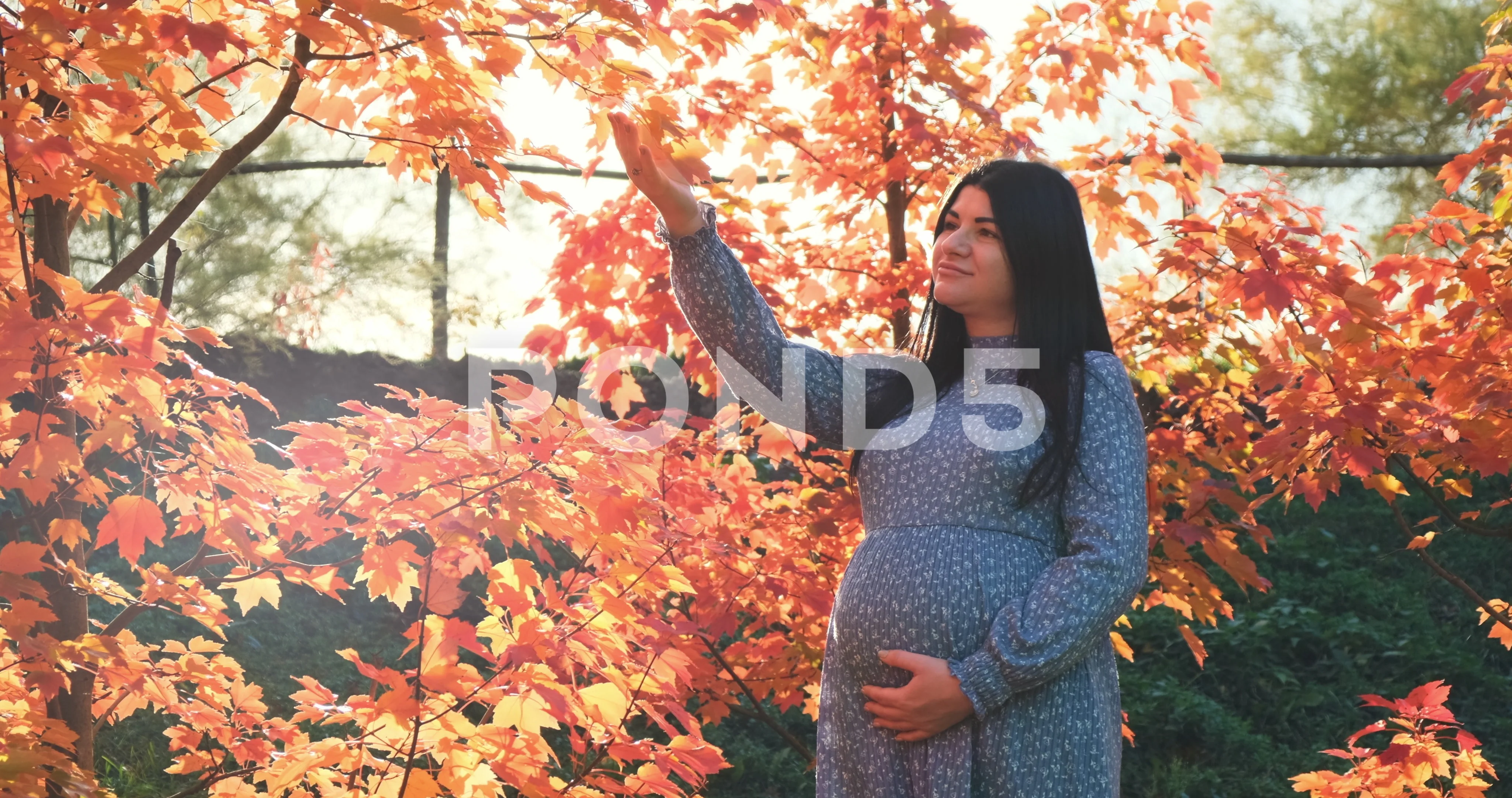 Pregnant woman resting in sunny autumn park. Happy pregnant mother stand in