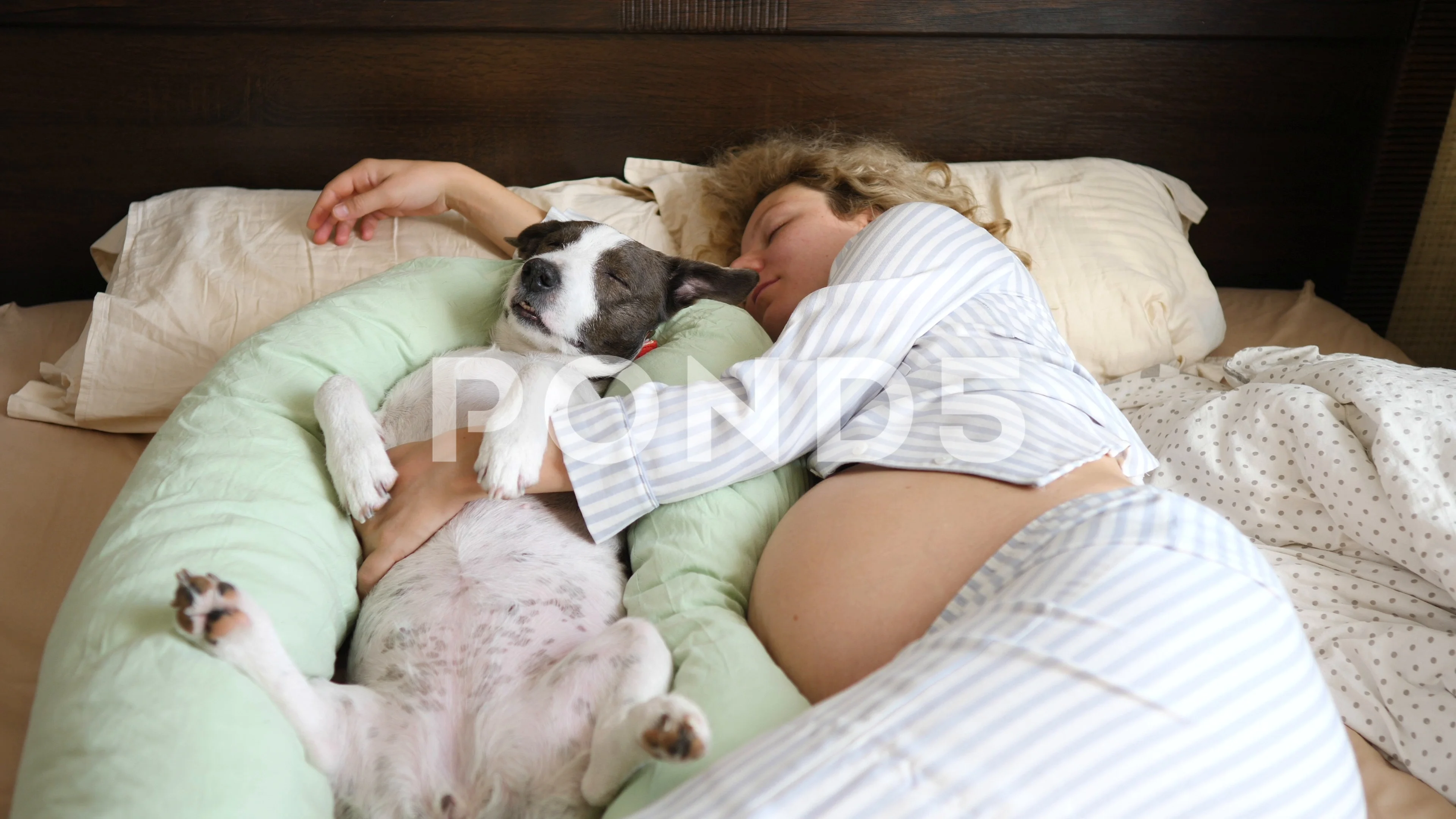 Is It Ok To Sleep With Dogs While Pregnant