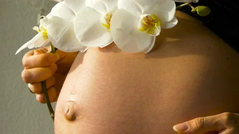 PregnantOrchid Stock Footage 132665243