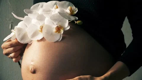 PregnantOrchid Stock Footage 132665244