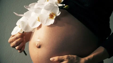 PregnantOrchid Stock Footage 132665264