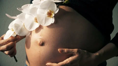 PregnantOrchid Stock Footage 132665287