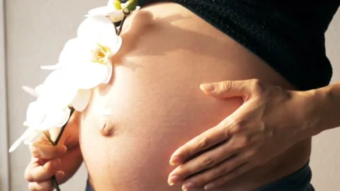 PregnantOrchid Stock Footage 132862709