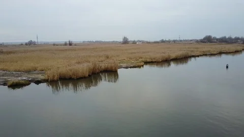 Pregol river Stockbeeldmateriaal 121326408