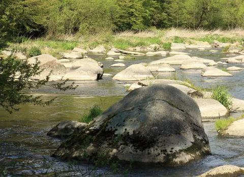 Prehistoric big stone in river Stock Photos