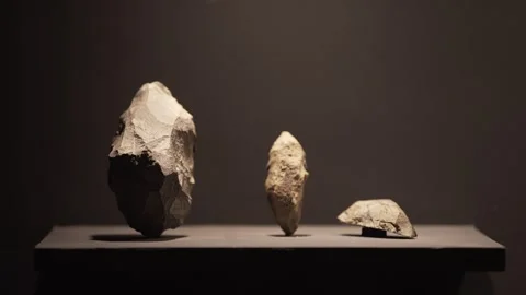 Prehistoric Chipped Stone Tools and Axes Exhibit, Serra da Capivara Stock Footage 321904711
