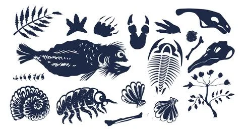 Prehistoric creature, bones, underwater animals and plants fossils silhouette 스톡 일러스트