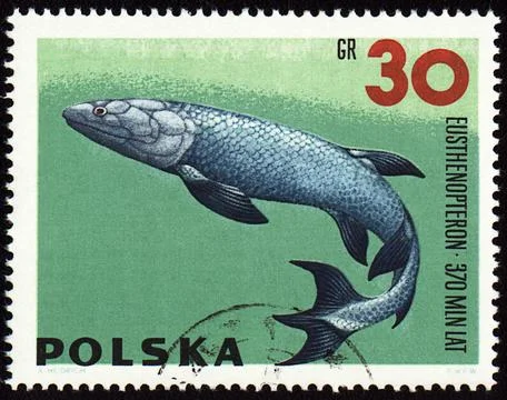 Prehistoric fish Eusthenopteron on post stamp Stock Photos