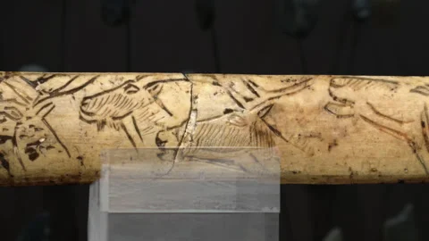 Prehistoric ivory carving 库存影片 270154736
