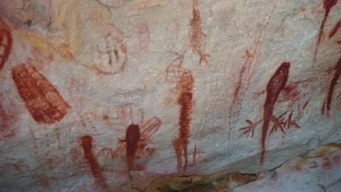 Prehistoric primitive cave art. Red painting of lizard on wall in Brazil Stock Footage 270951917