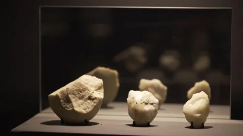 Prehistoric White Quartz/Flint Lithic Artifacts Exhibit at Serra da Capivara Stock Footage 321904732