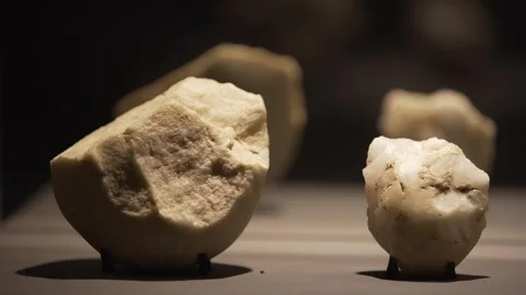 Prehistoric White Quartz/Flint Lithic Artifacts Exhibit at Serra da Capivara Stock Footage 321904734