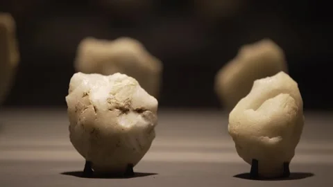 Prehistoric White Quartz/Flint Lithic Artifacts Exhibit at Serra da Capivara Stock Footage 321904775