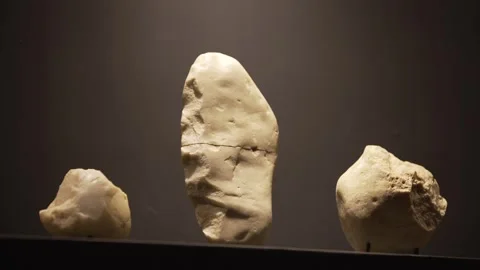 Prehistoric White Quartz/Flint Lithic Artifacts Exhibit at Serra da Capivara Stock Footage 321904789