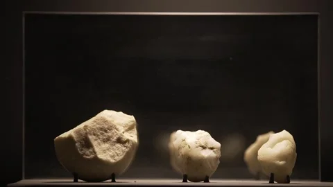 Prehistoric White Quartz/Flint Lithic Artifacts Exhibit at Serra da Capivara Stock Footage 321904821