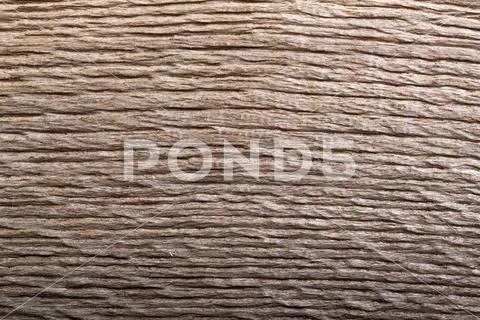 Prehistoric wood bog oak with fantastic texture. Stock Photos