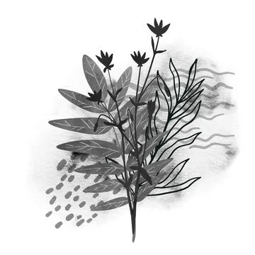 Premade design with wild floral elements and watercolor stain Stock Illustration