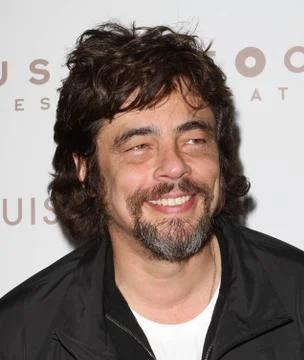 Premiere of sofia coppolas somewhere Stock Photos