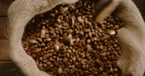 Premium arabica fresh roasted coffee beans falls, pour into jute bag Stock Footage 239761267